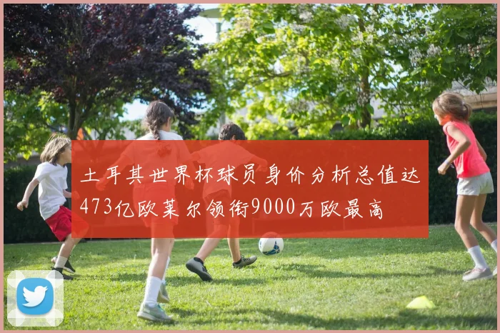 土耳其世界杯球员身价分析总值达473亿欧莱尔领衔9000万欧最高